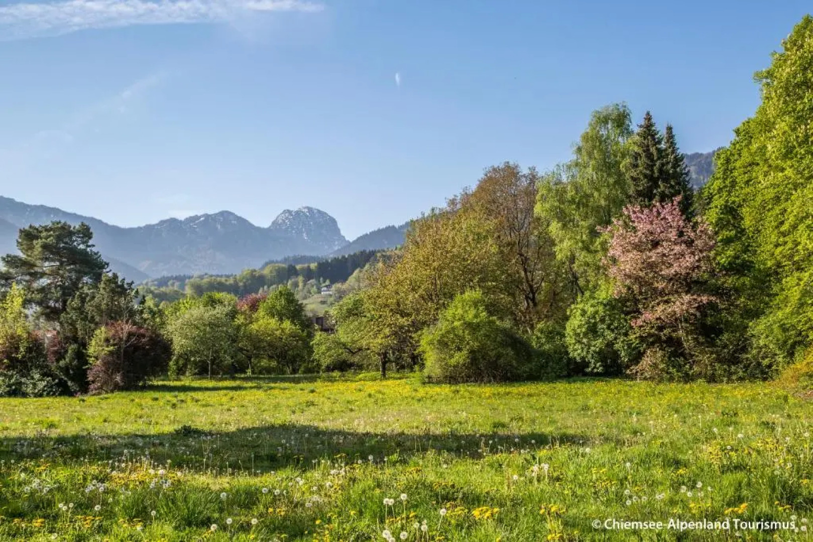 Land Wirtschaft Höß