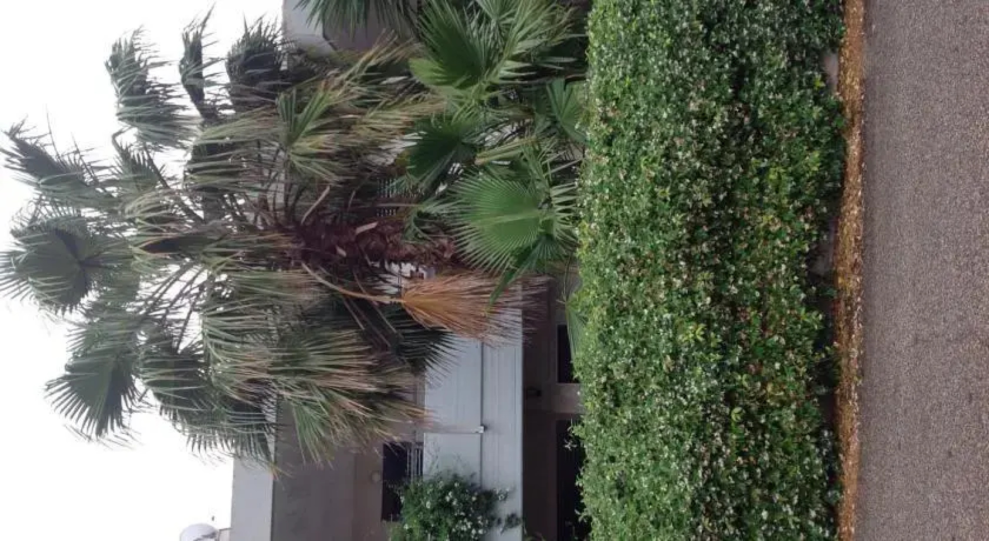 Casa Vacanza i Mandorli