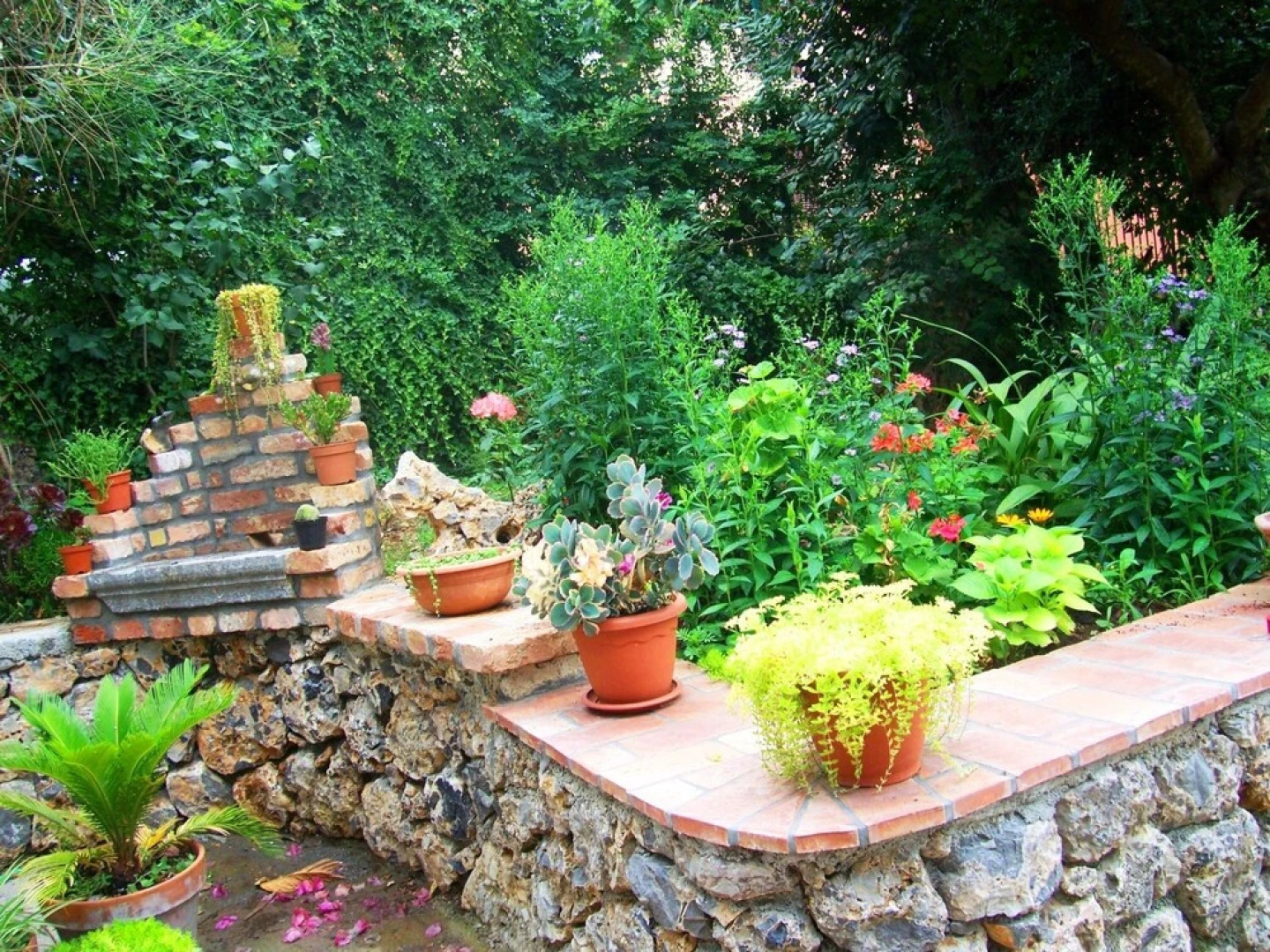 B&B La Casa Del Gelso