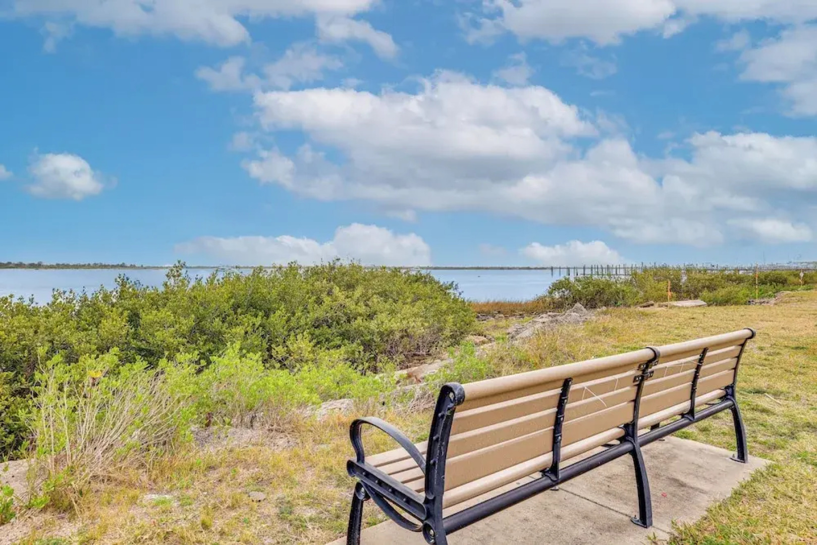 Watch Dolphins: St Augustine Gem Near Downtown!