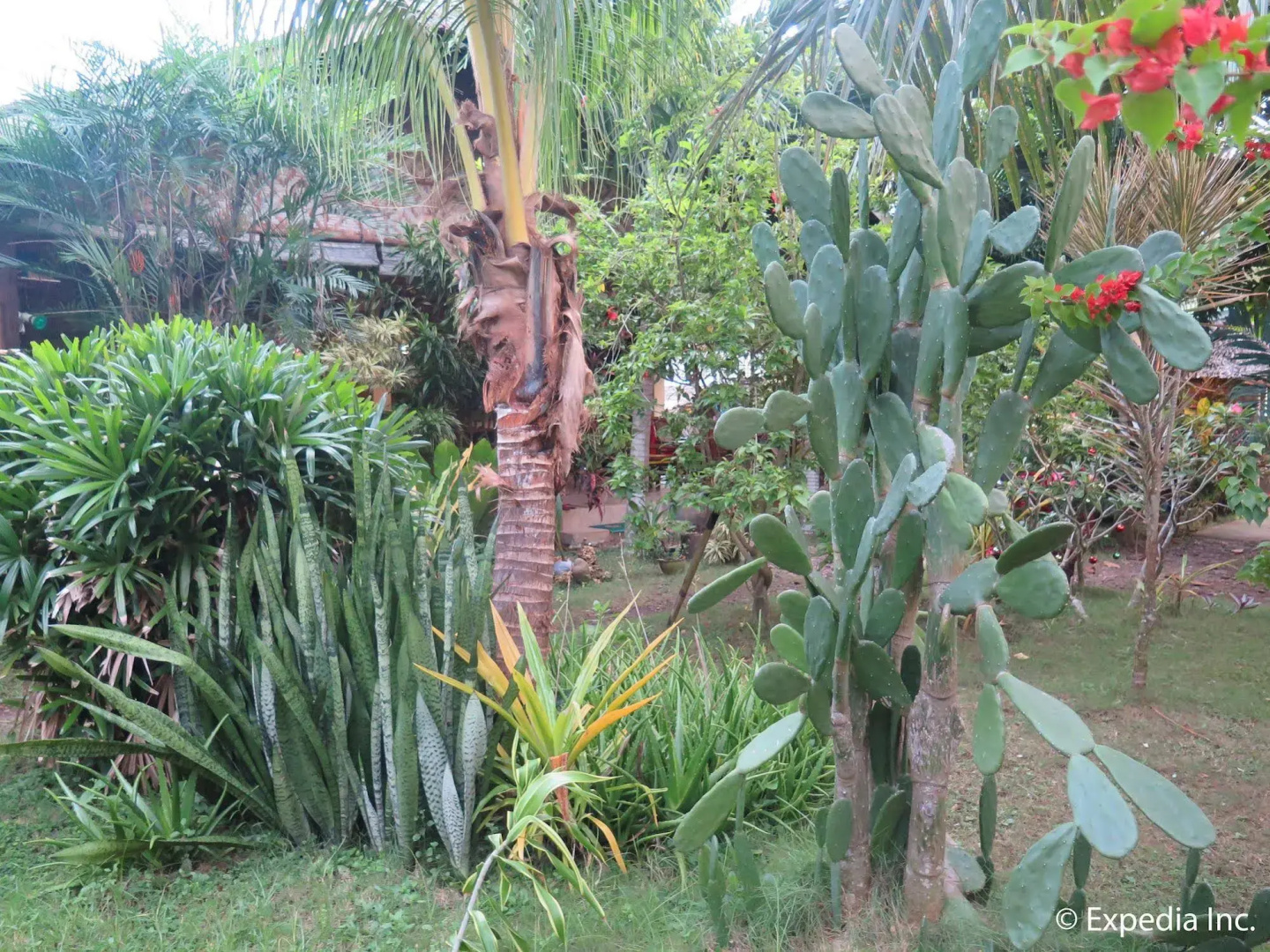 Mystic Divers Guesthouse