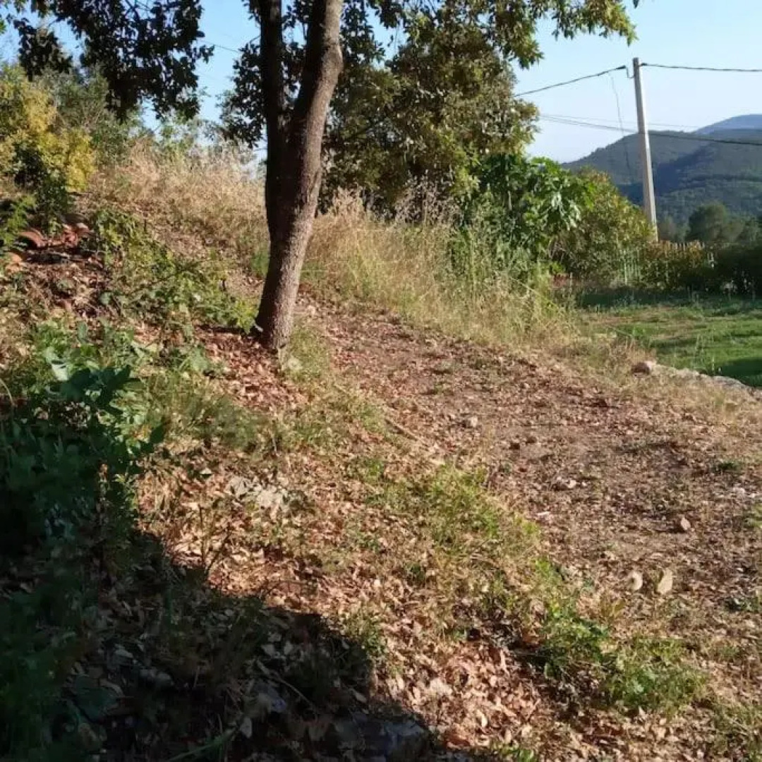 2 logements pour 10 personnes +piscine luxe