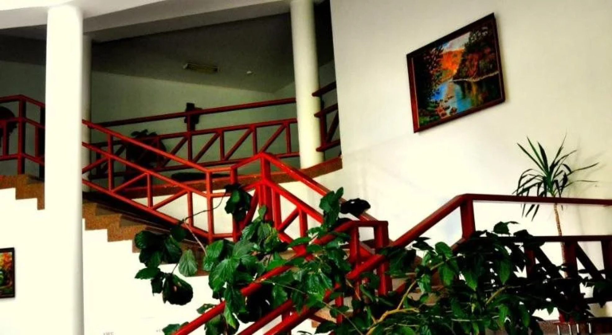 Курорт Солнечная Поляна