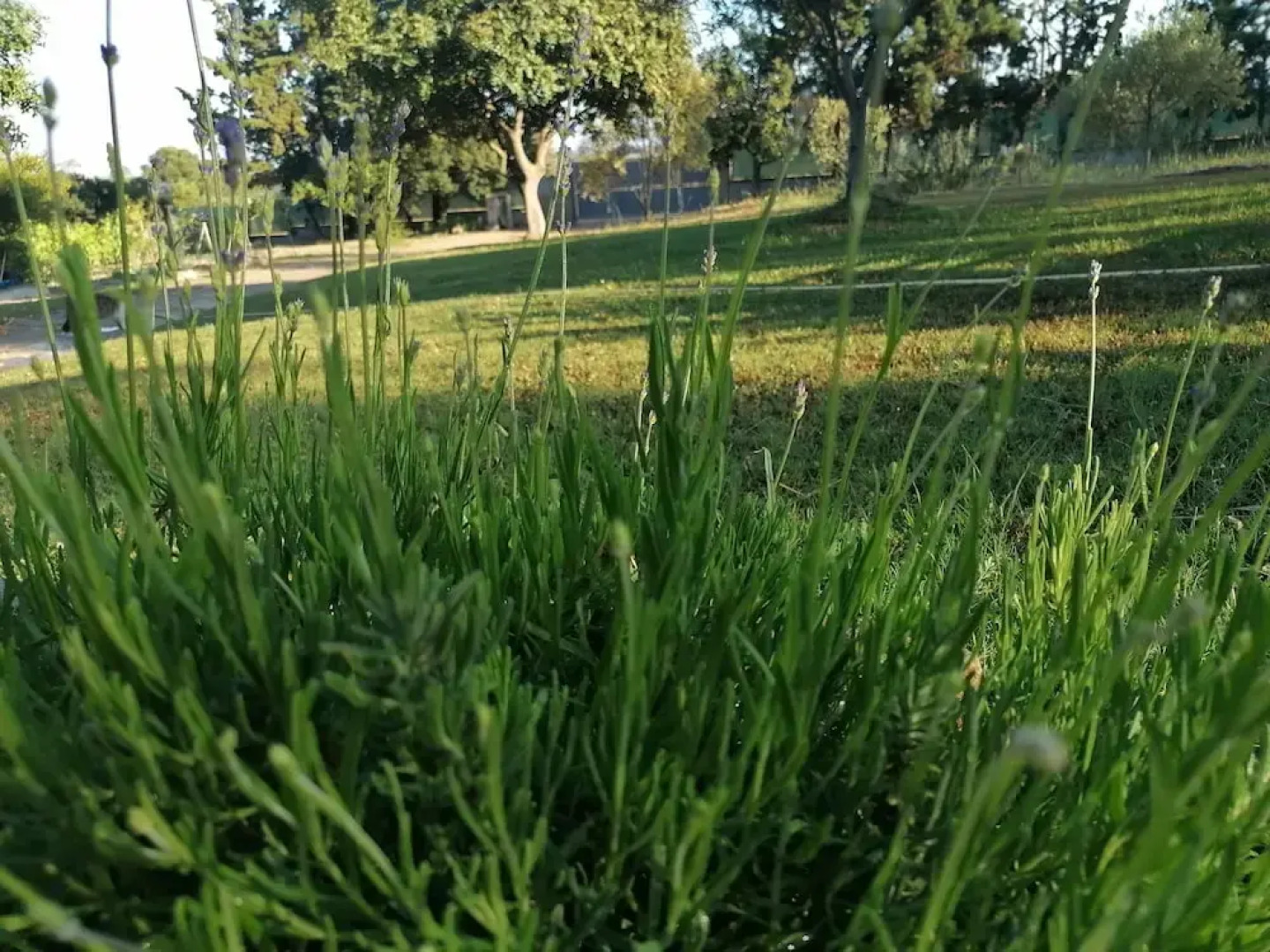 Charming Villa in Porto Corallo, Near the Beach