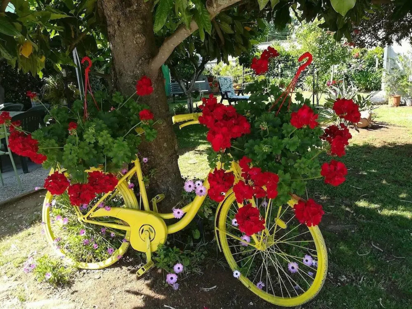 Il Melograno Da Pina