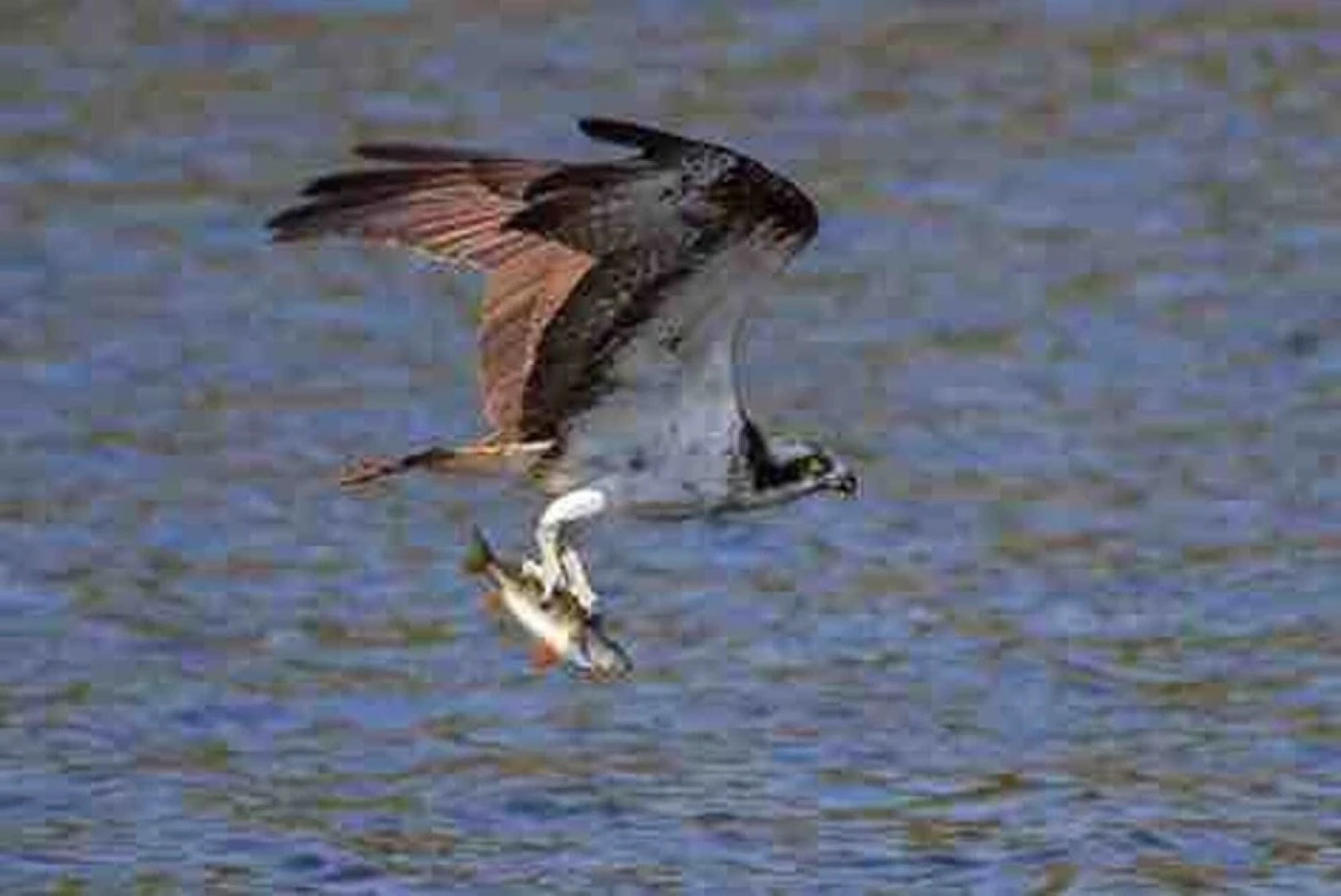 Glencroft A Fairytale Highland Cottage