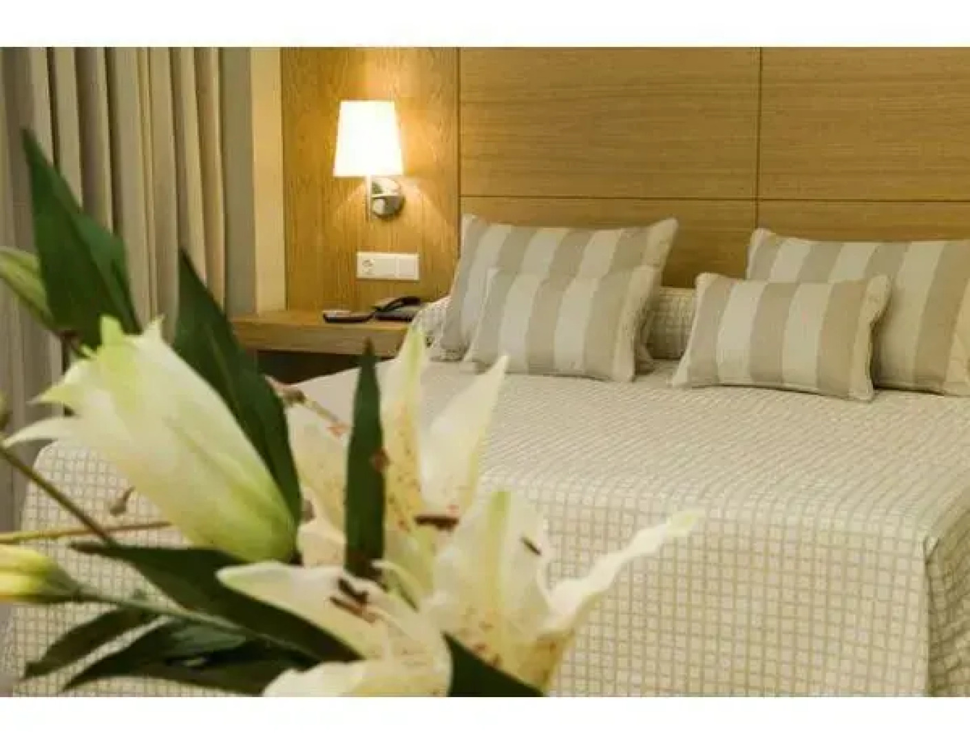 Elegance Azuqueca Hotel