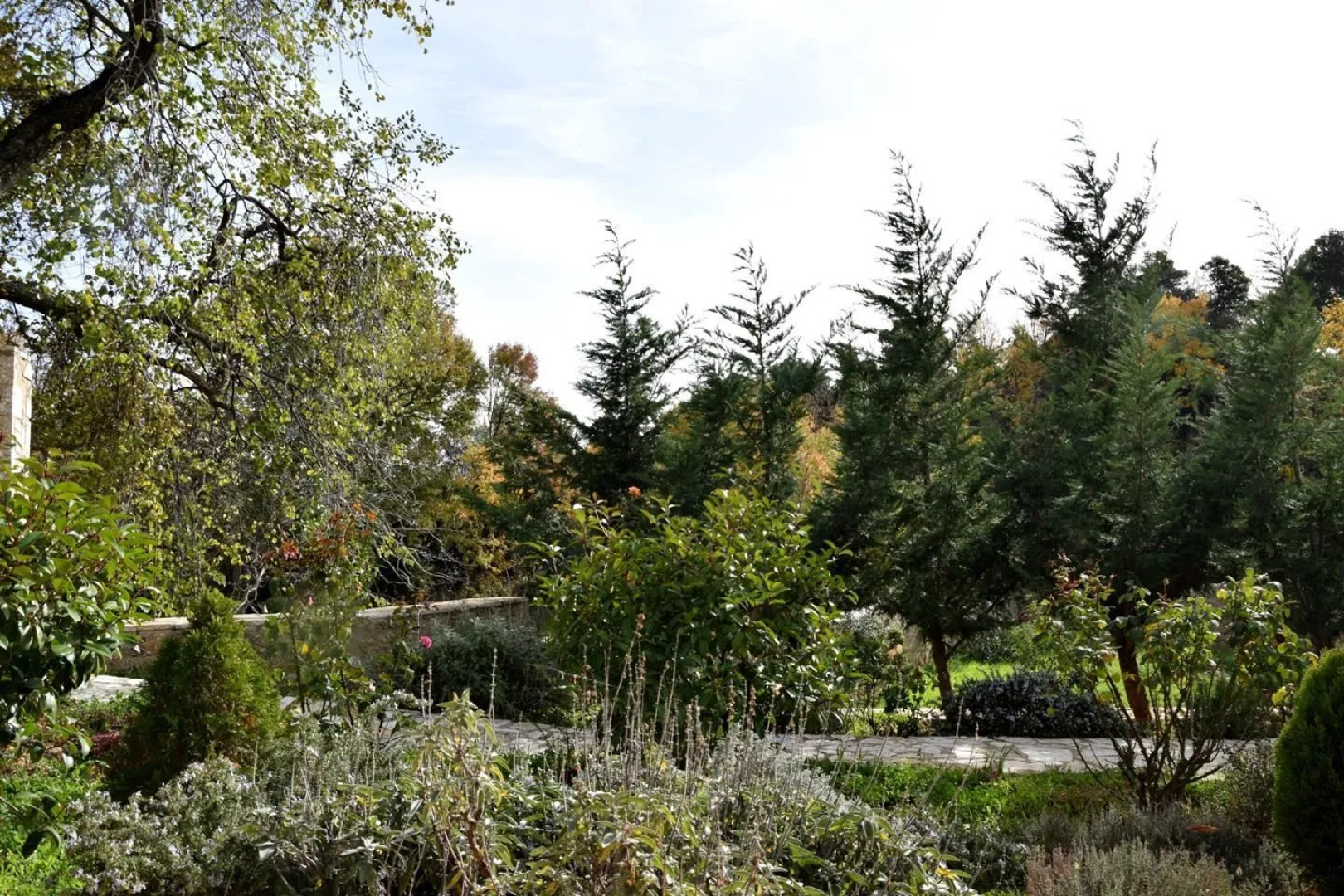 Trikalon Muses Art Suites