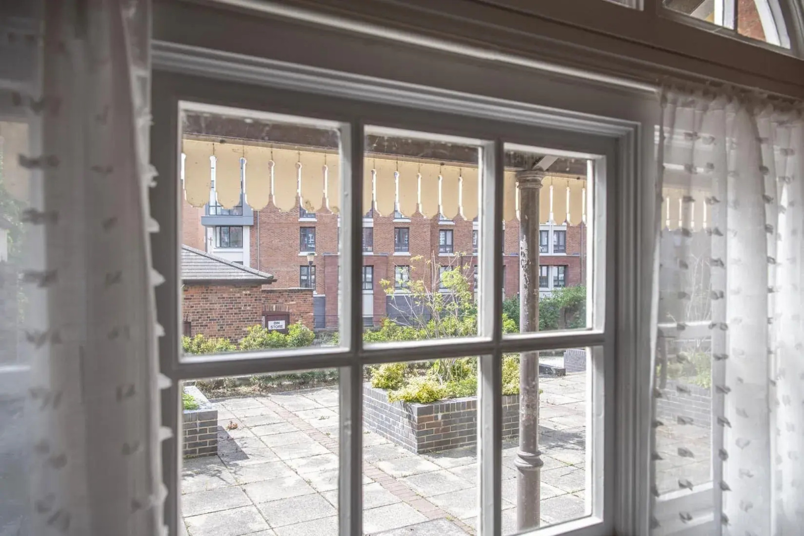 Chocolets - The Yorkie Suite