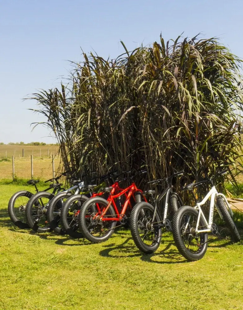 Posada de Campo Los Azahares