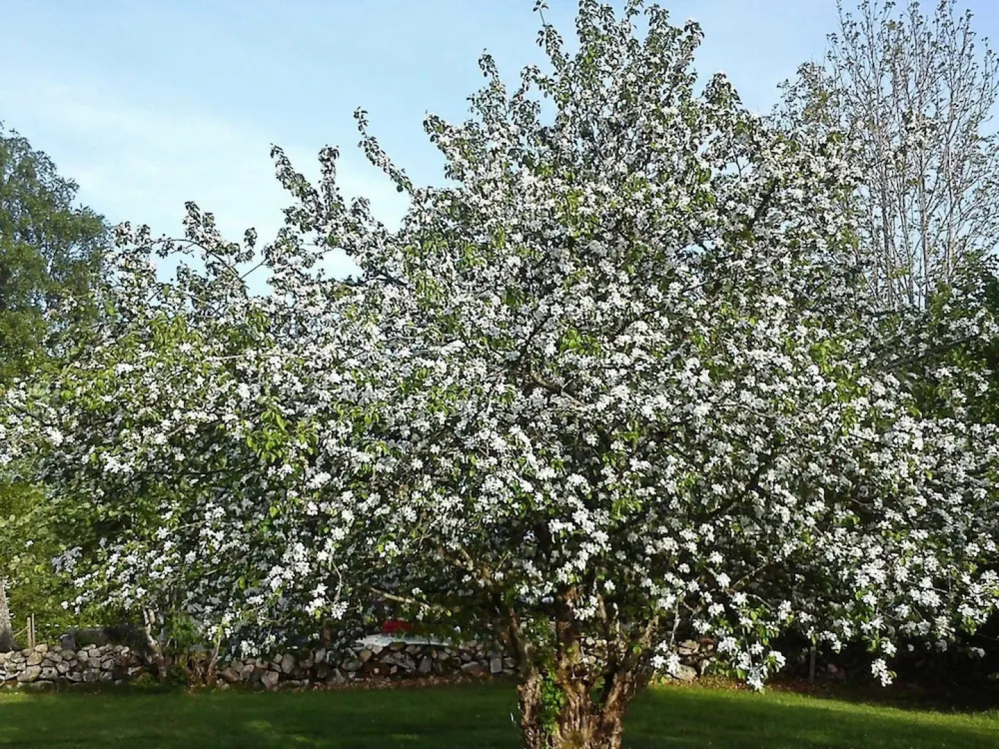 4 Person Holiday Home in Romelanda-by Traum