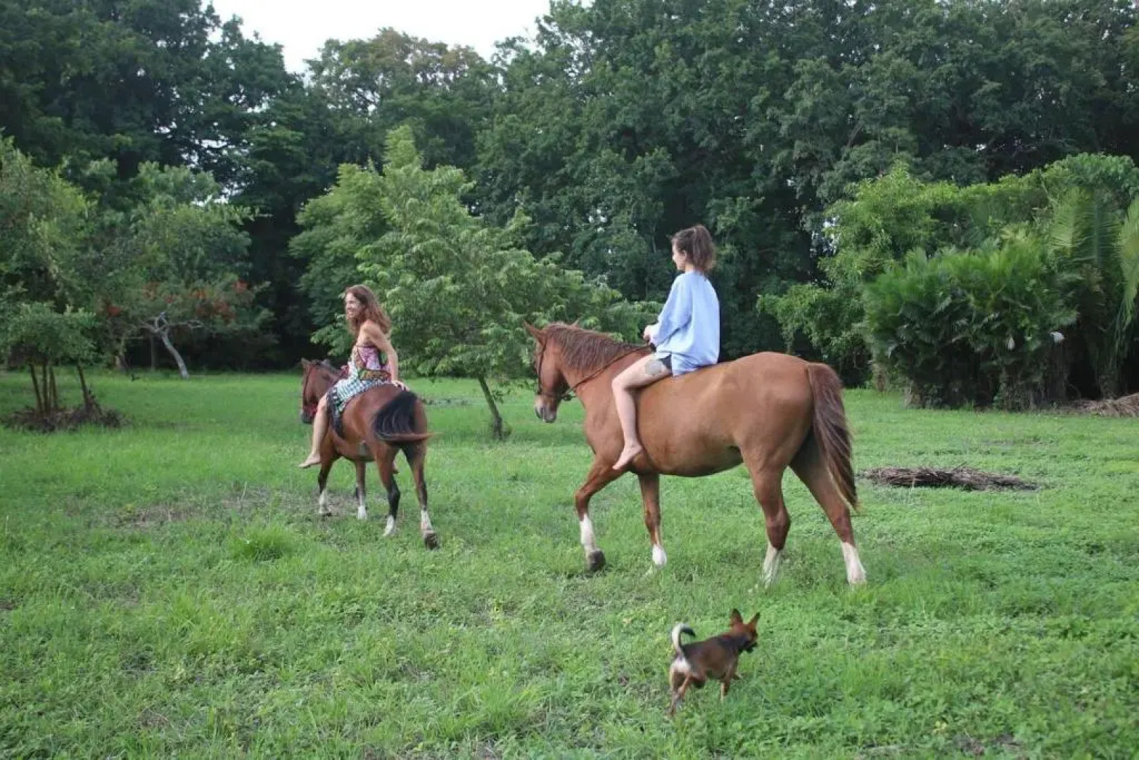 Surrounded By Trees In Front Of The Sea