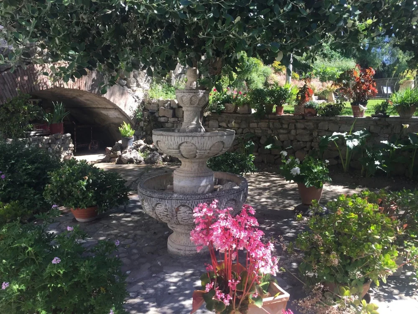 El Estanque y El Almendro