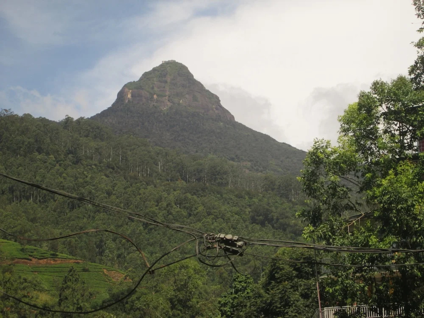 Slightly Chilled Yellow House