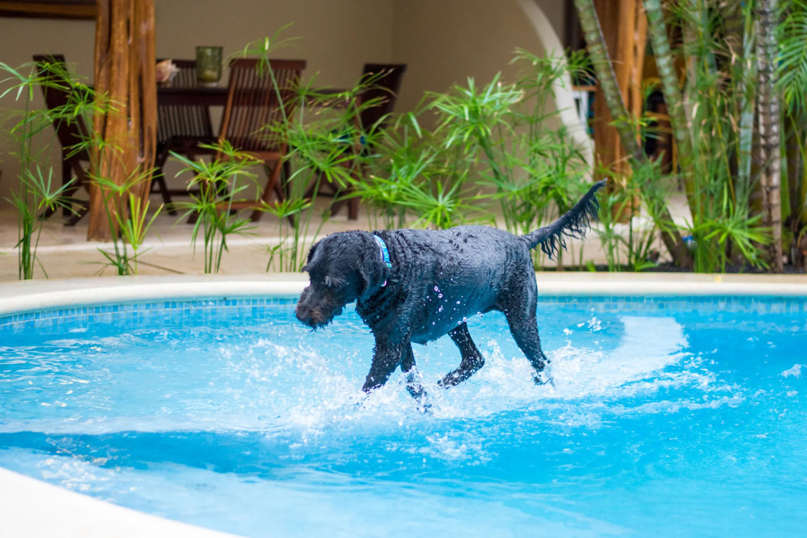 Ten North Tamarindo Beach Hotel