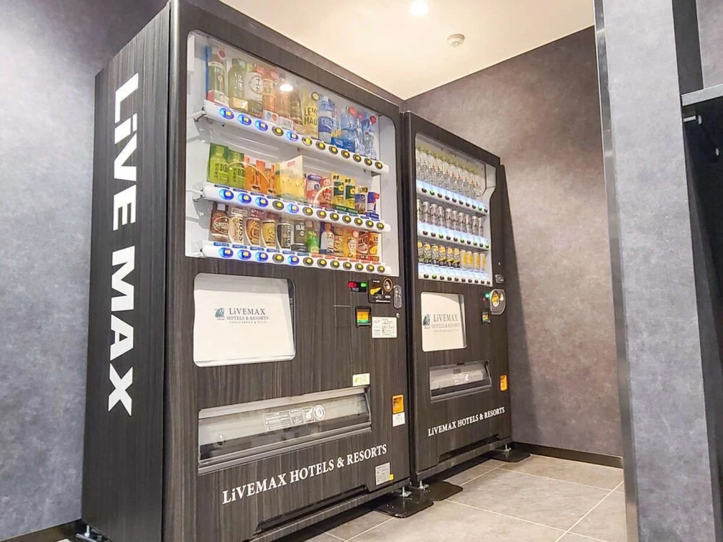 HOTEL LiVEMAX OKAZAKI