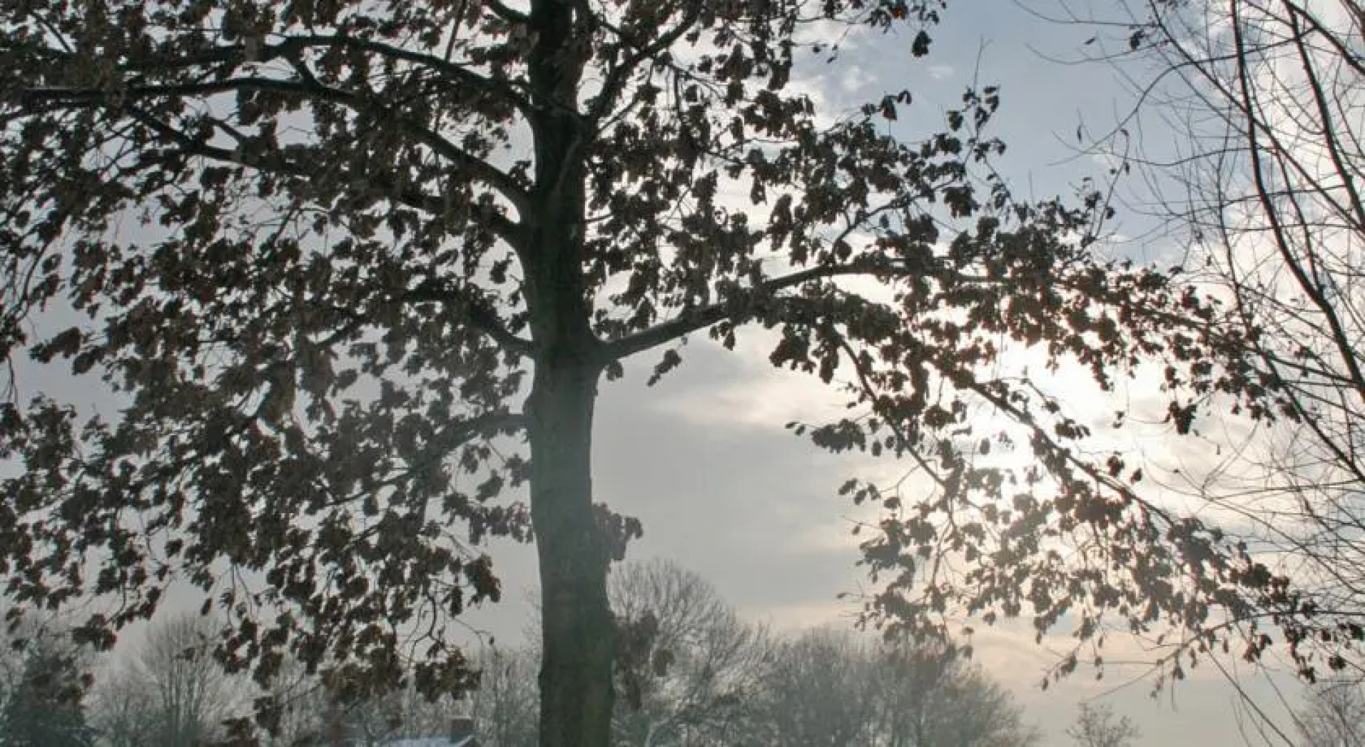 Landhuis Logies Ouderhoek