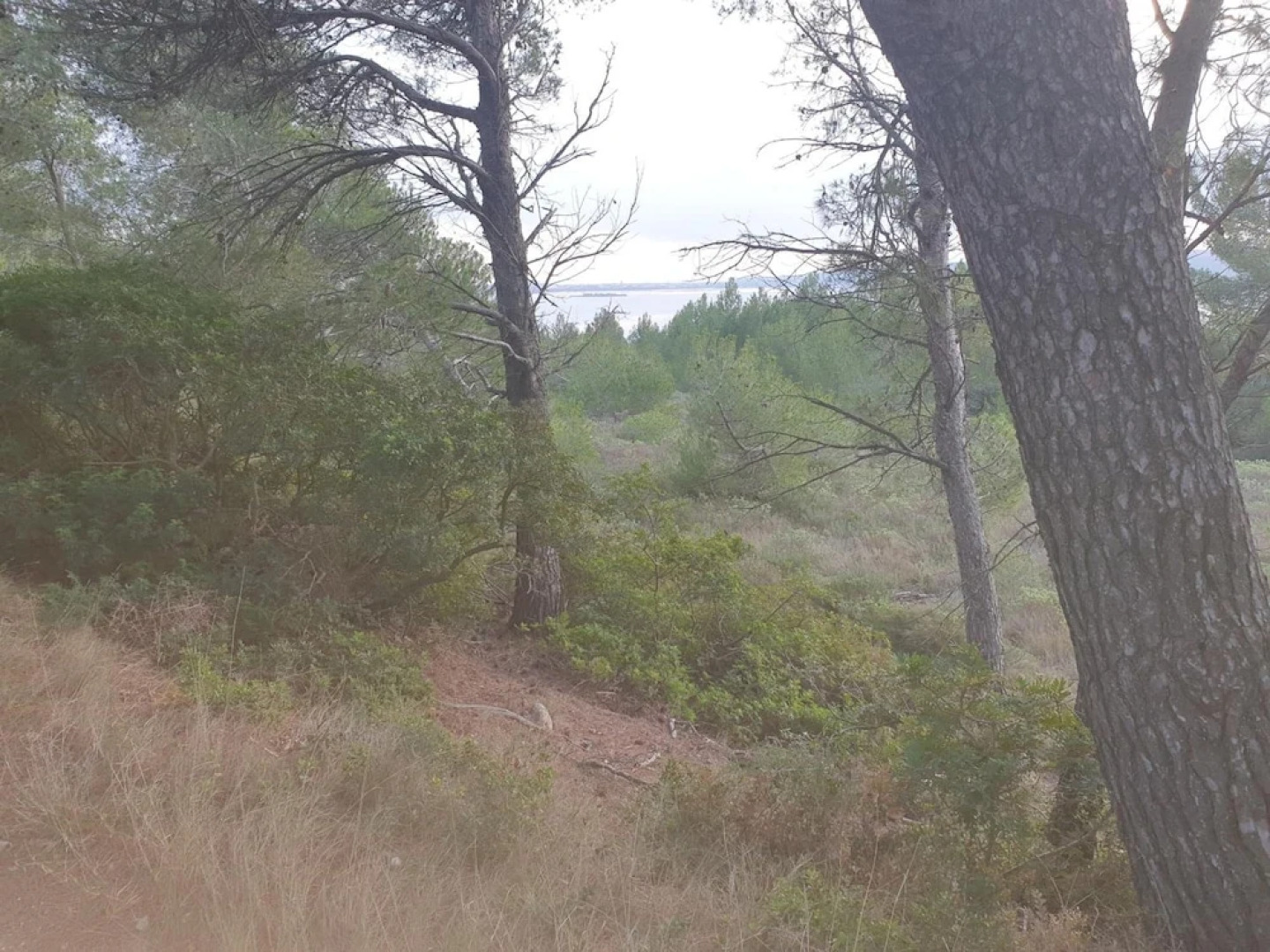 Hôtel Méditerranée