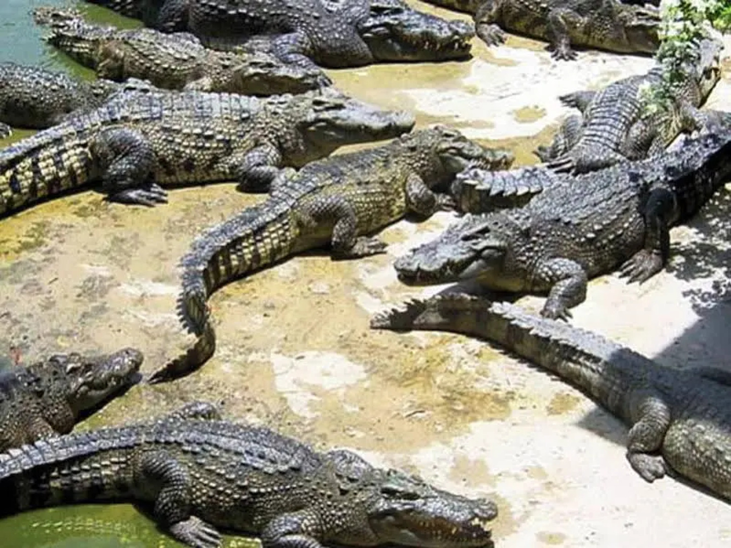 WH Hotel & Service Apartment