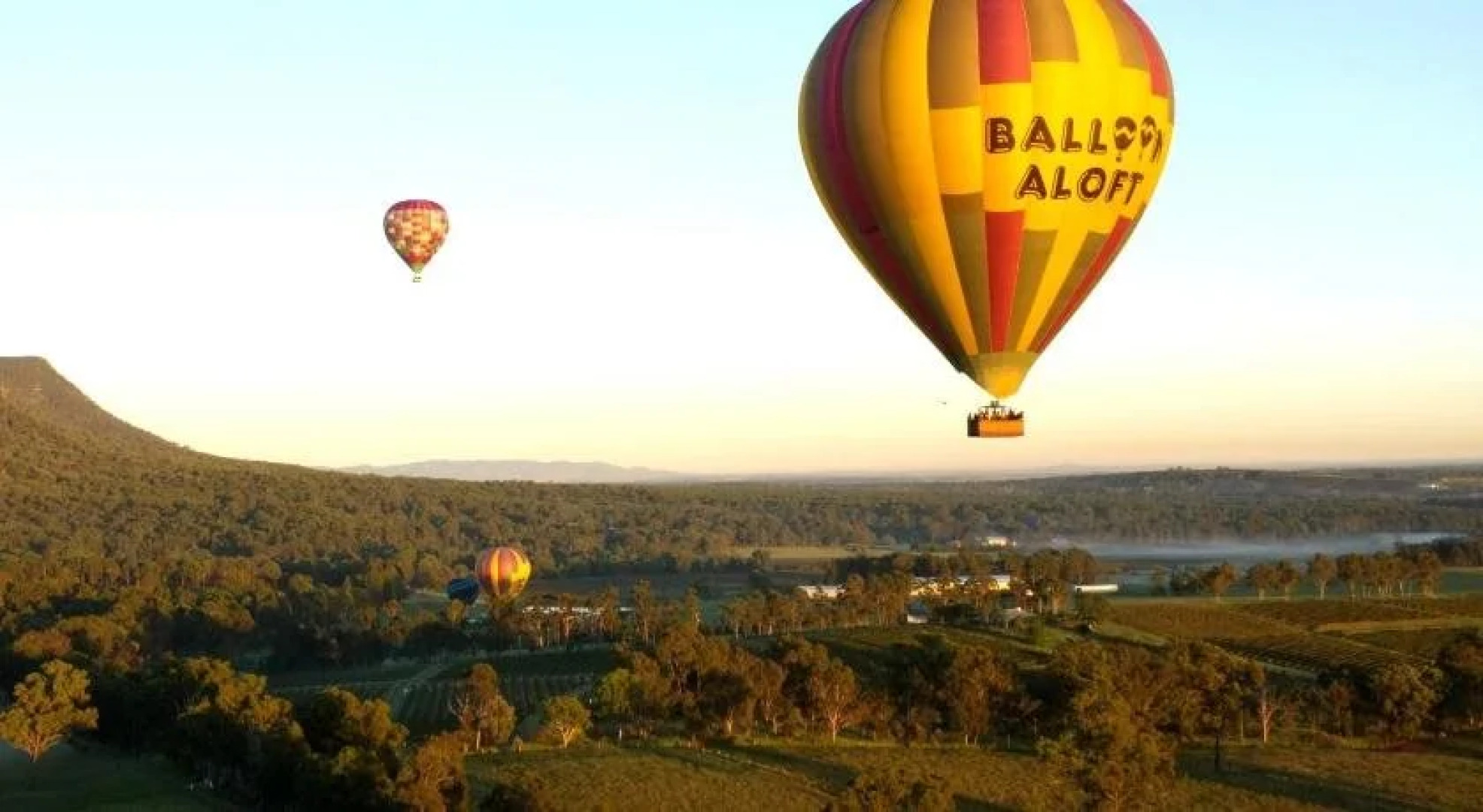 Coal d' Vine Cottage - Cessnock NSW