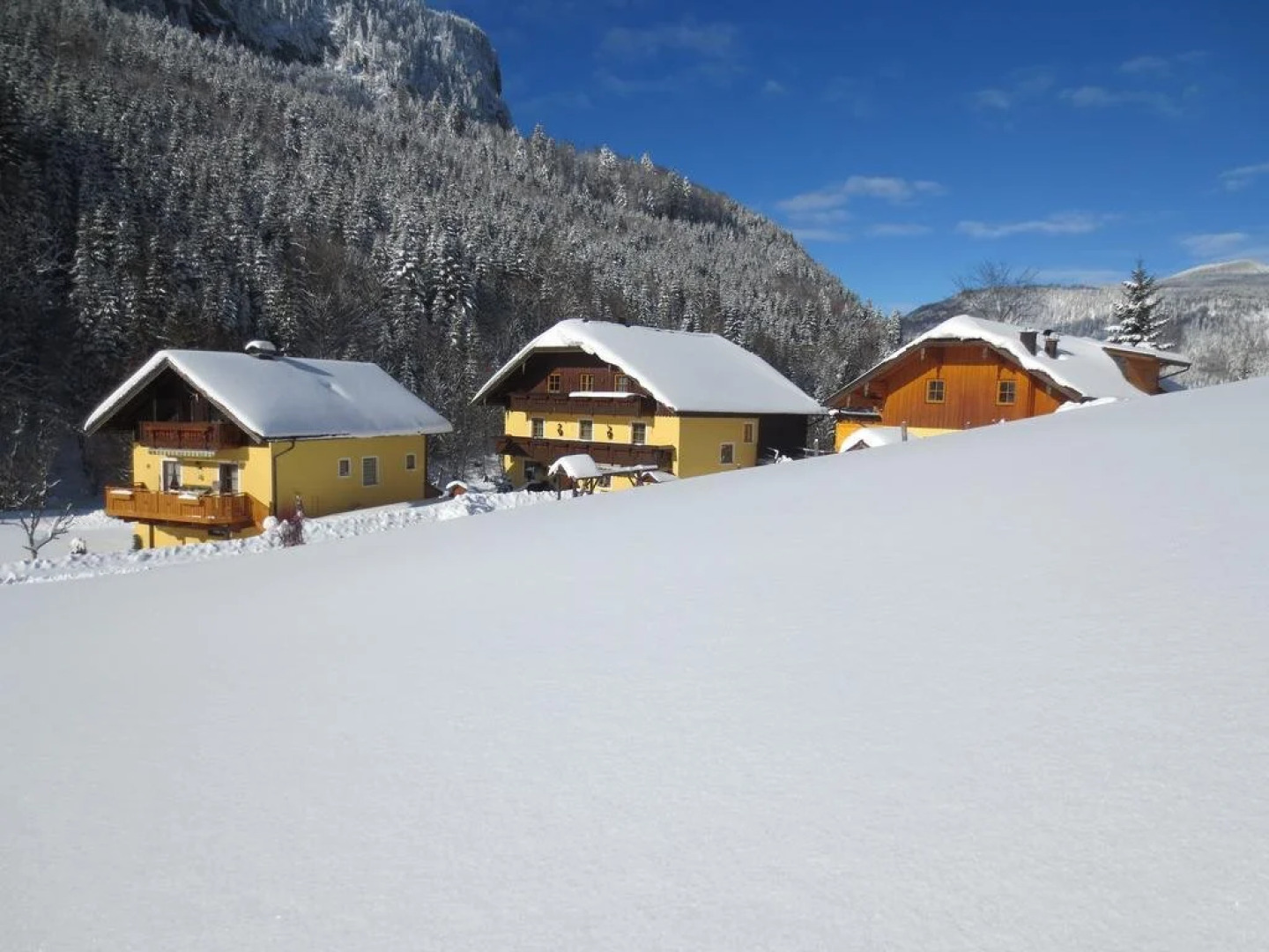 Bio-Bauernhof Vordergrubenbach - Familie Oberascher