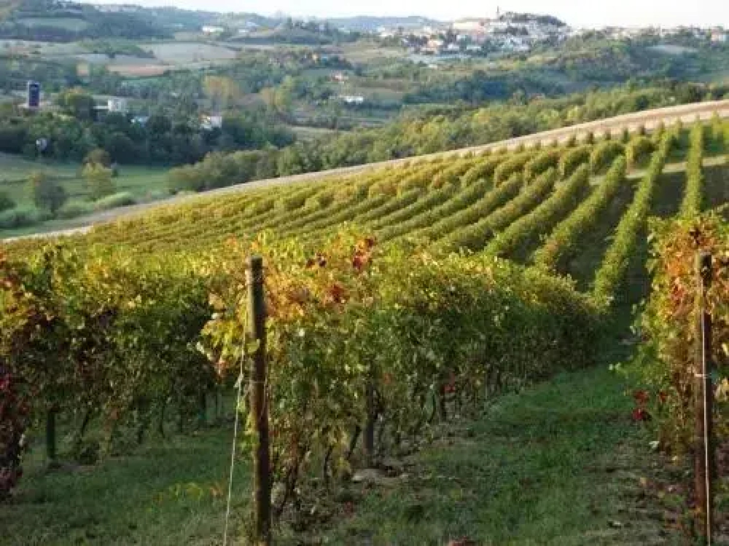 La Commedia Della Pentola