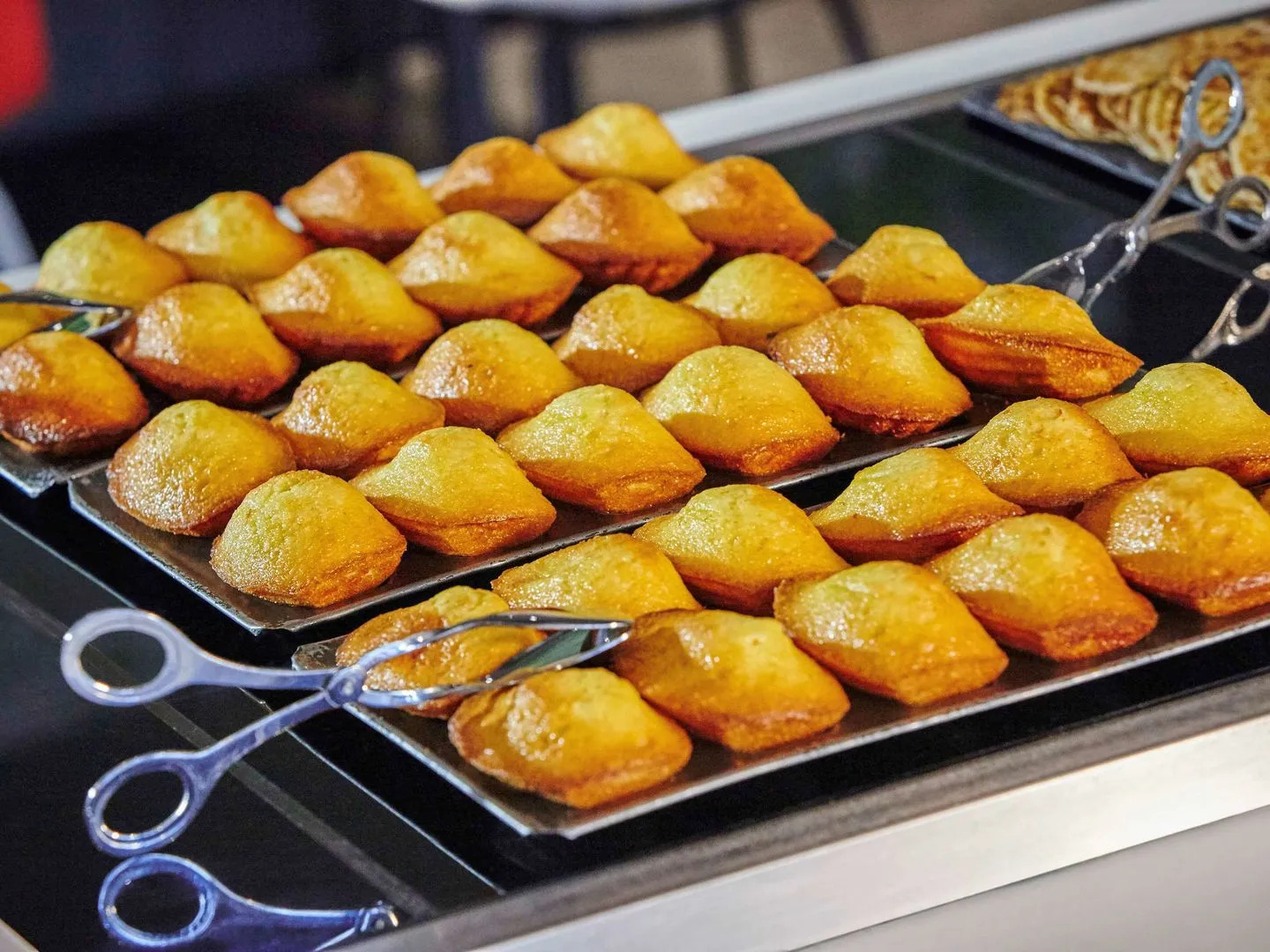 ibis Paris CDG Airport