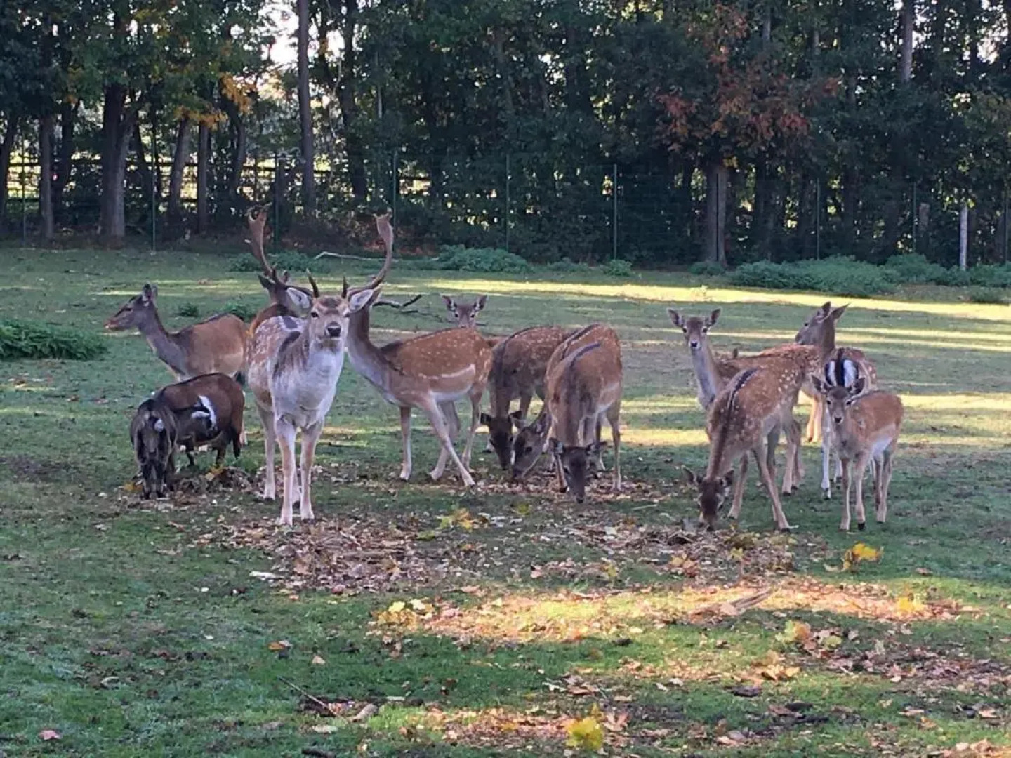 Familienhof Brï¿½ning