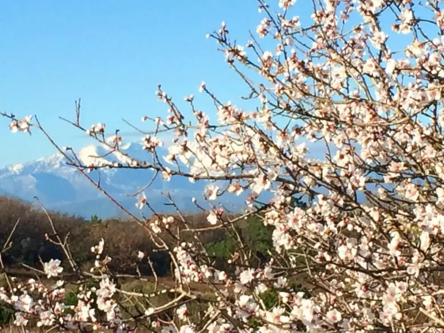 Apartment With one Bedroom in Canet-en-roussillon