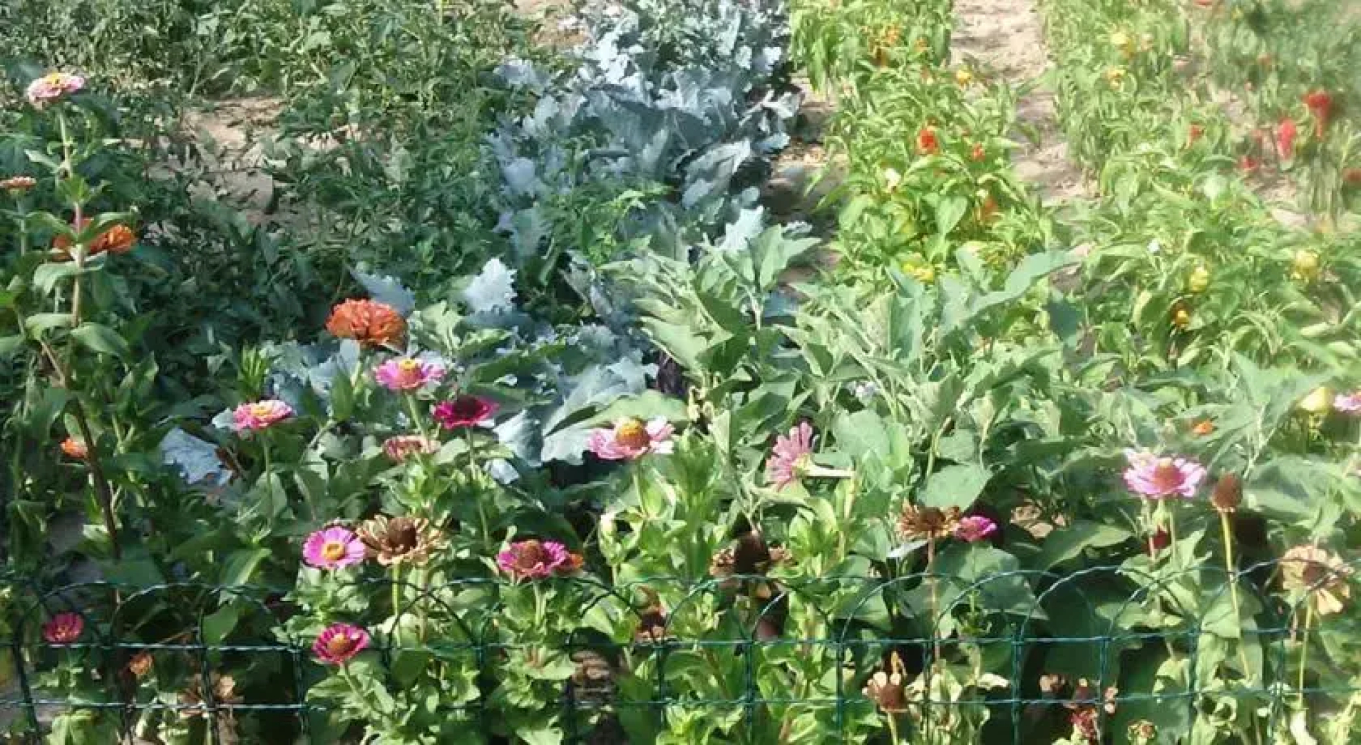 Rooms Family Farm Toma