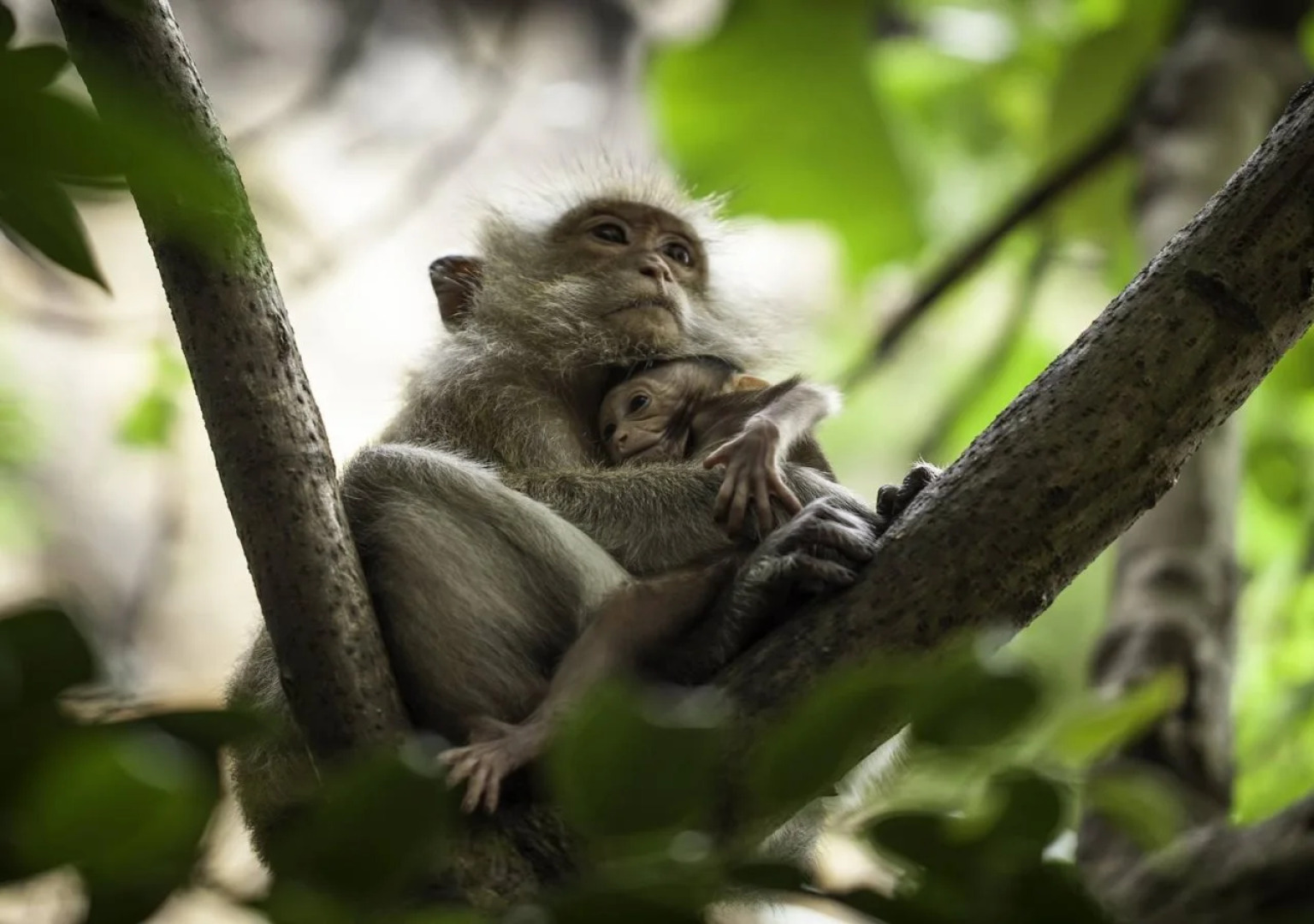Railay Garden View Resort
