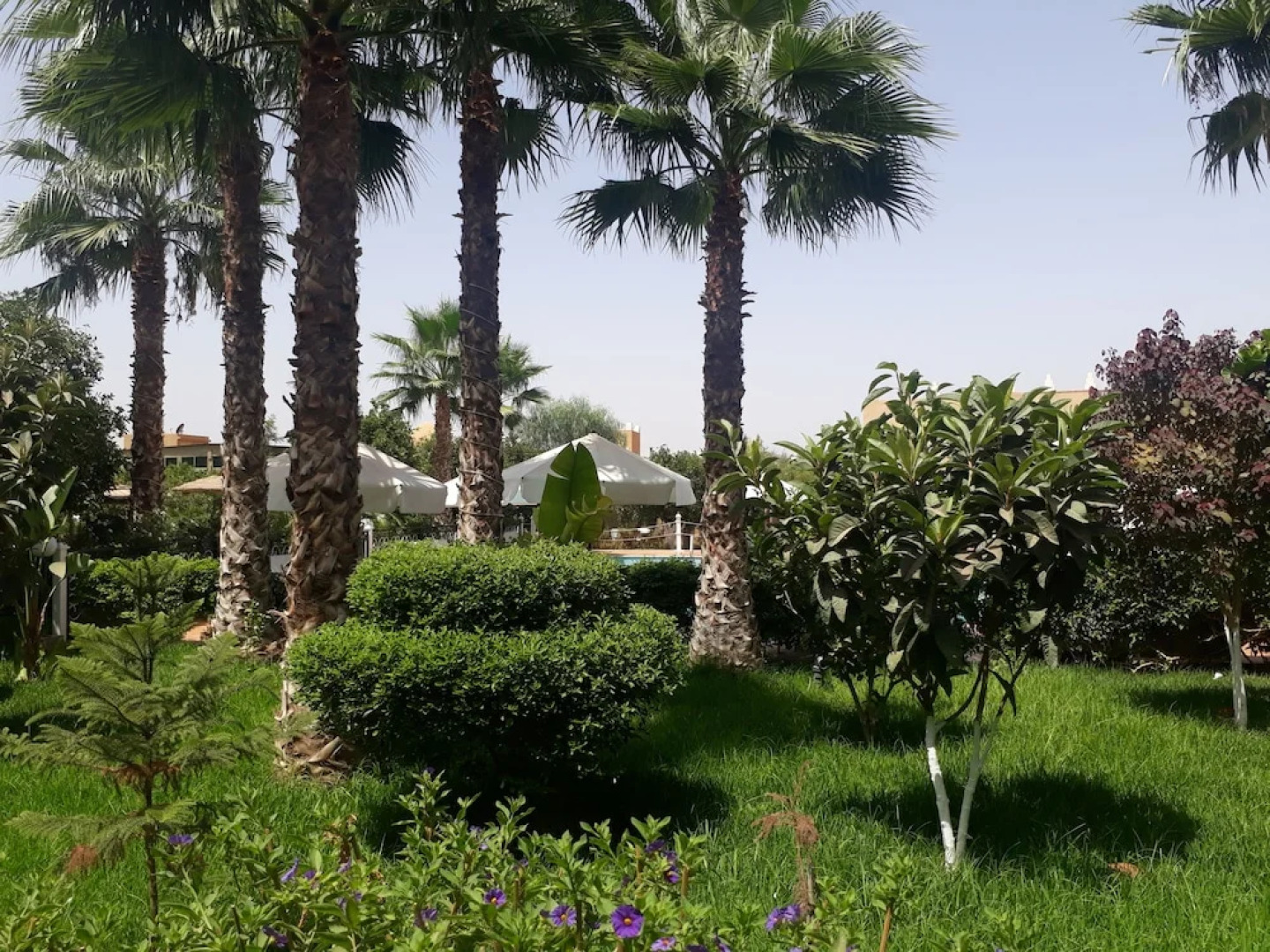 Hotel Almounia Taroudant