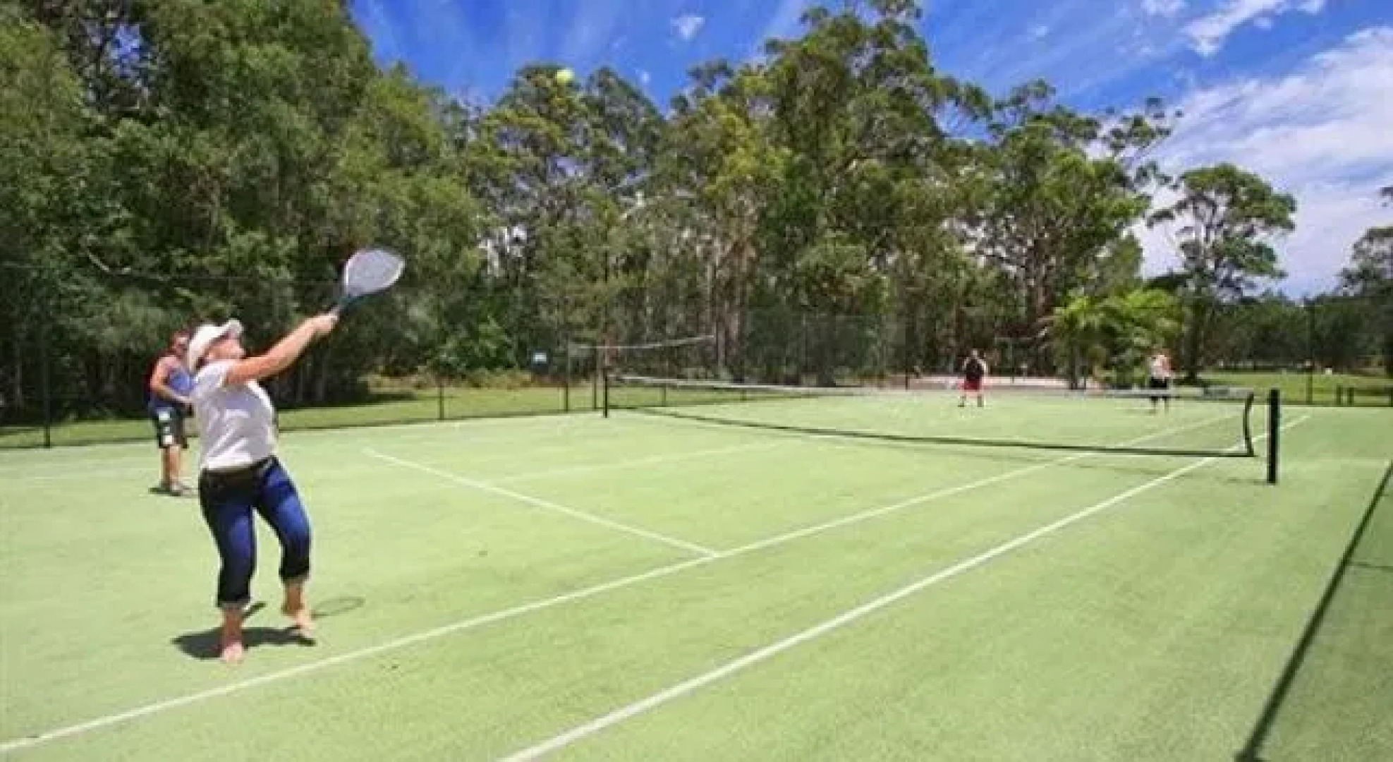Gateway Lifestyle Lorikeet