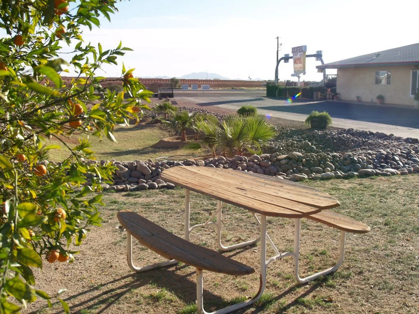 Desert Rose Motel