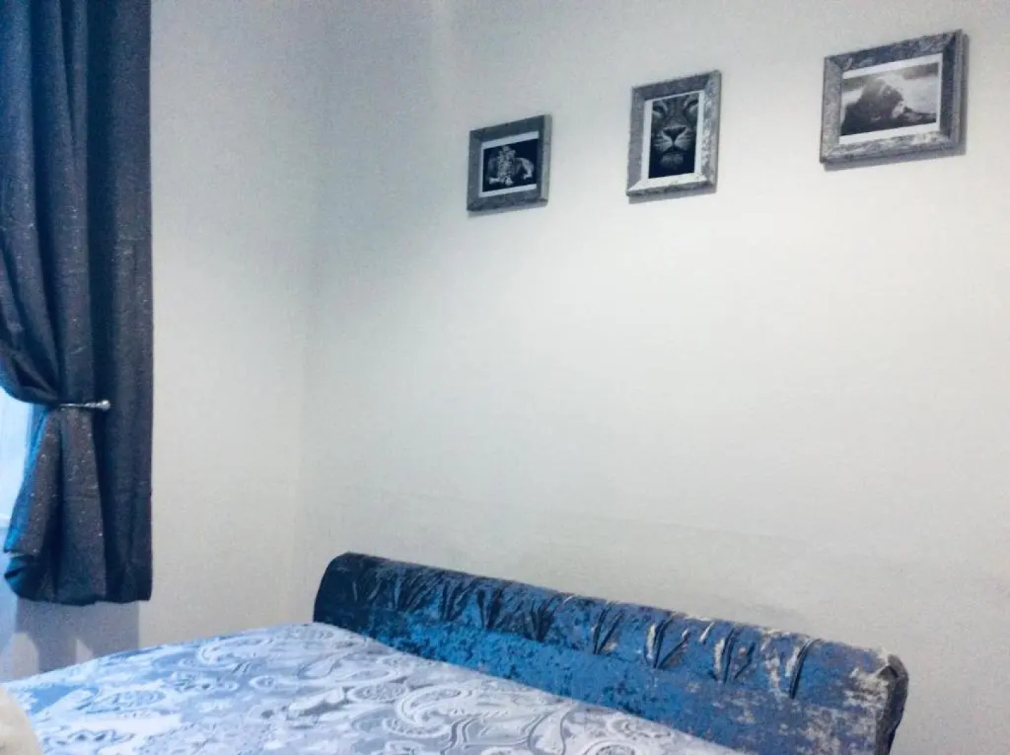 The Lion’S Rest - Boutique Apartment Suite.