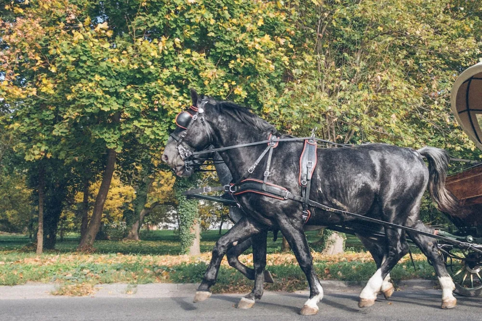The Palace at Osowa Sien