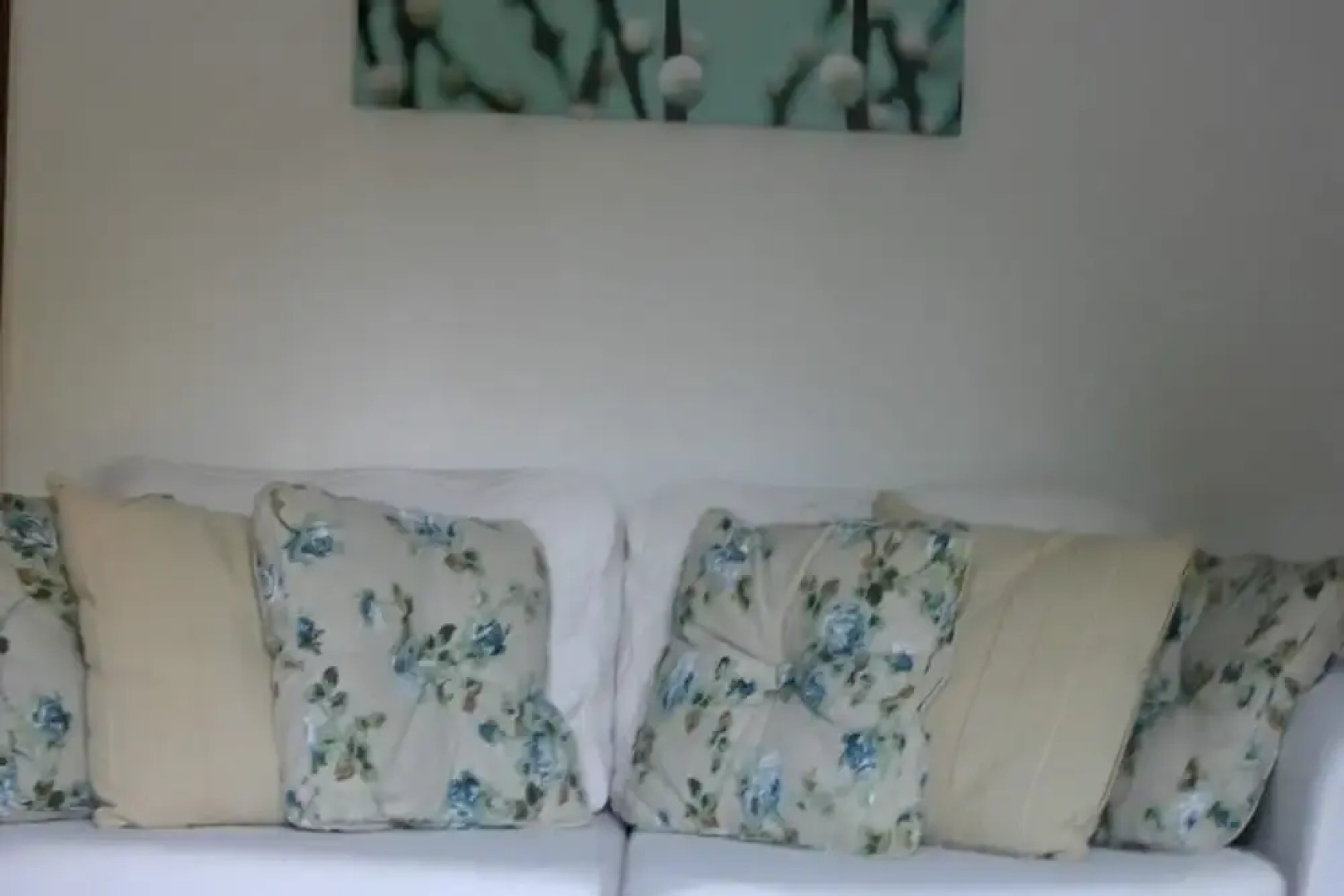 Comfortable Apartment Close to the ski Slopes