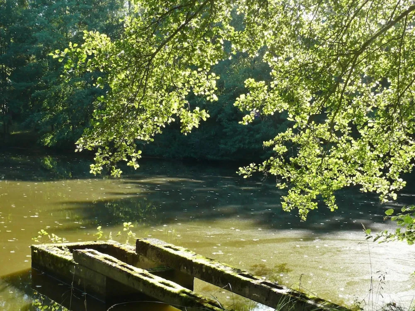 House With 2 Bedrooms in Lourdoueix Saint-pierre, With Wonderful Lake