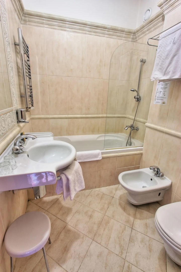 Hotel U Páva