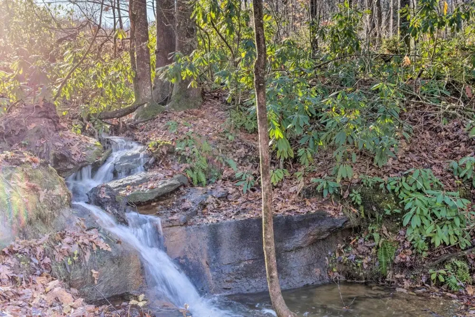 Secluded Black Mountain Cabin w/ On-site Pond!