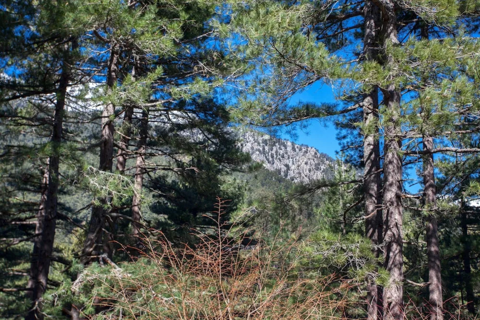 Chambres d'hôtes Casa Alta