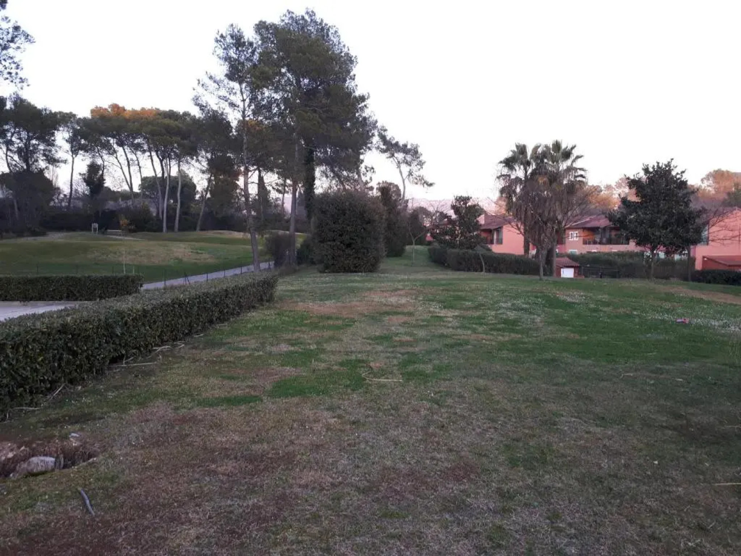 Adonis Mouans-sartoux L'Albatros