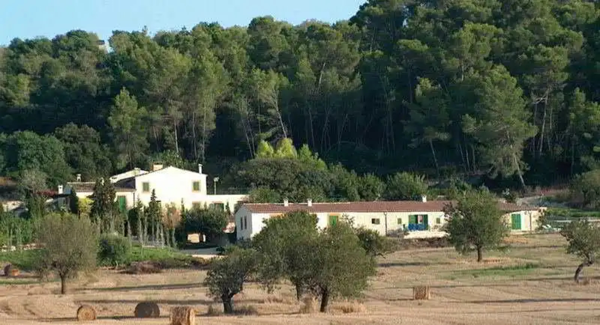 Sa Rota d'en Palerm