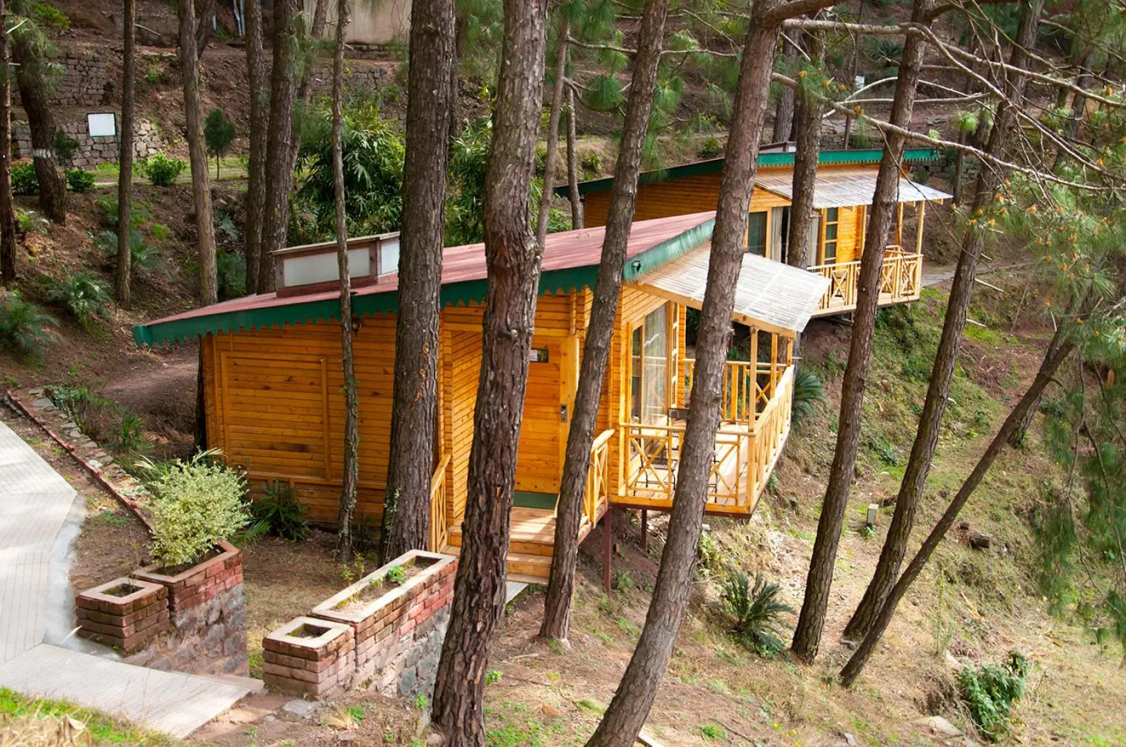 Kasauli Hills Resort