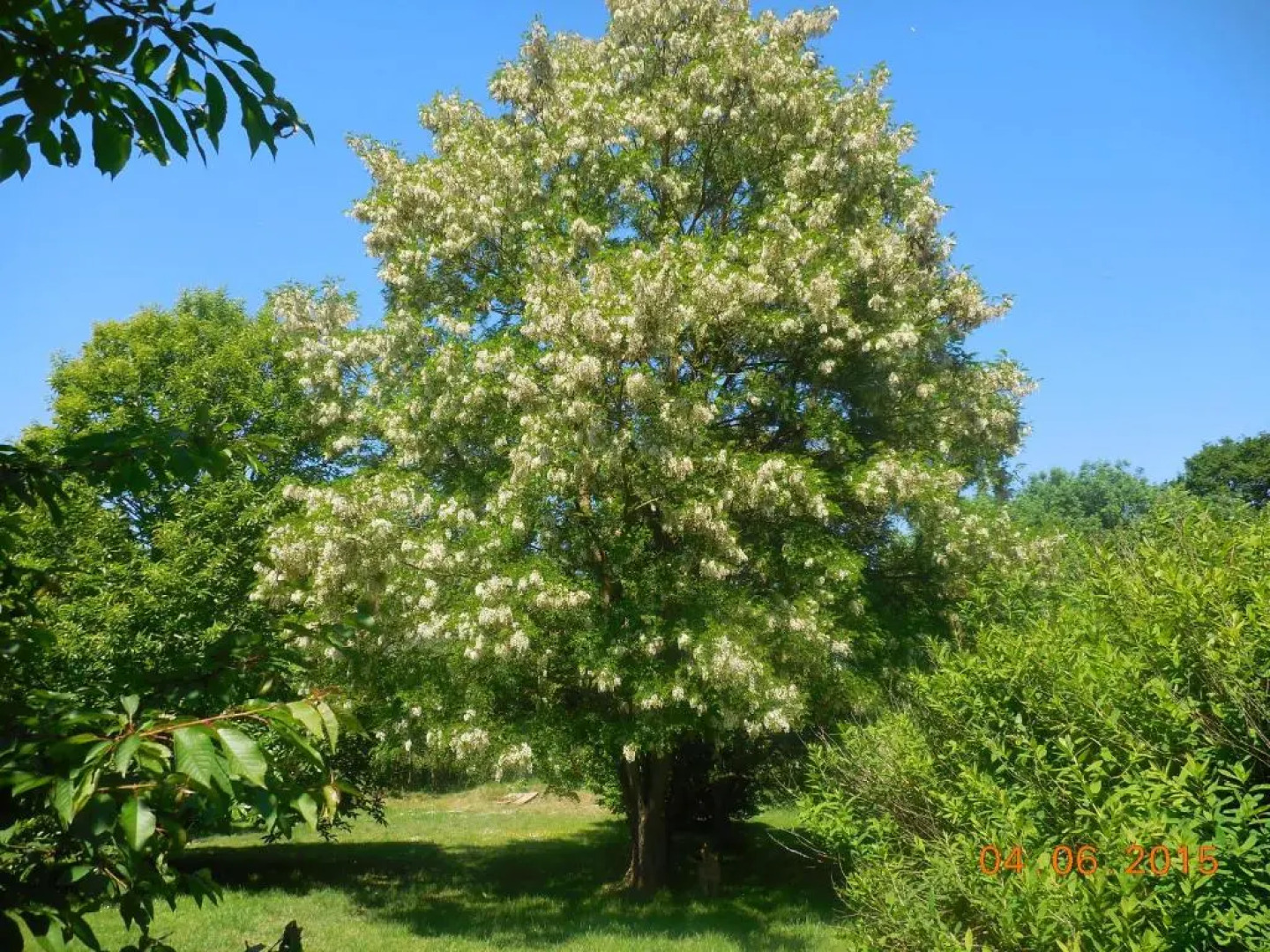 Les Chambres de la Nied