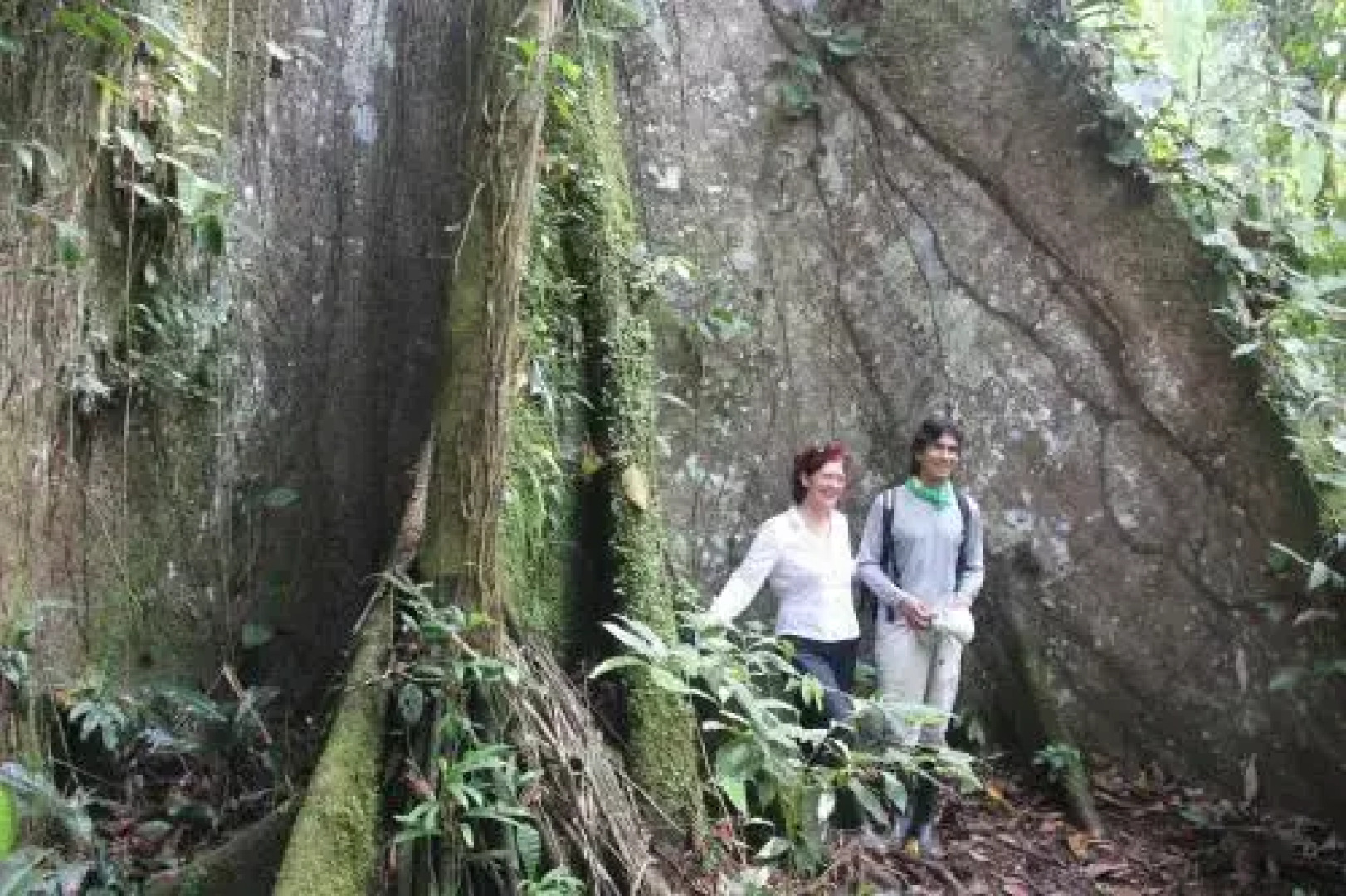 Green forest Ecolodge