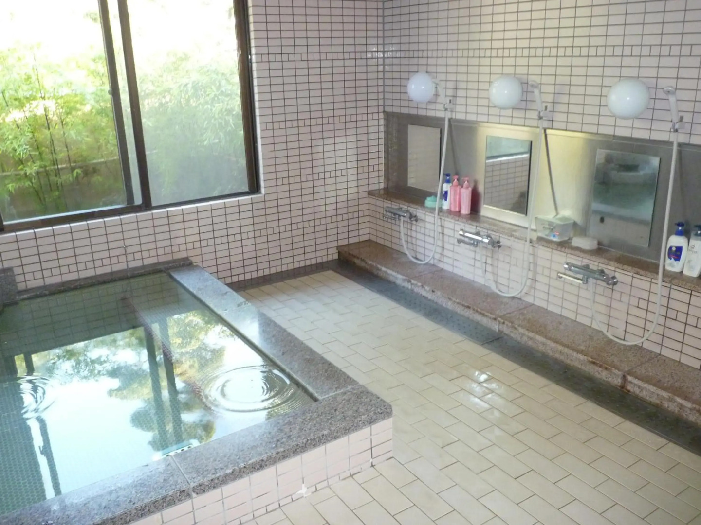 Yanagawa Hakuryu Soh