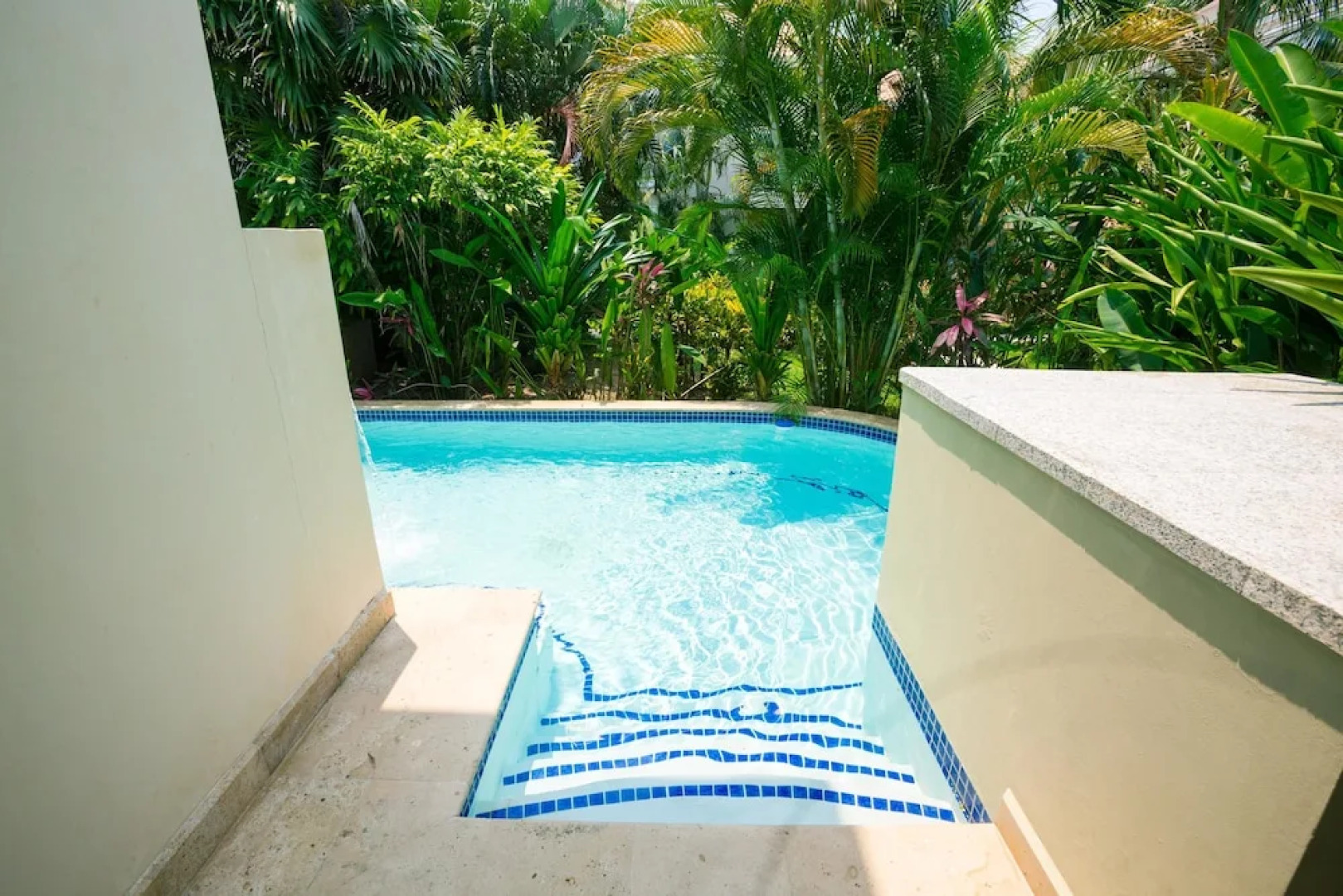 Lawson Rock Yellowfish 109