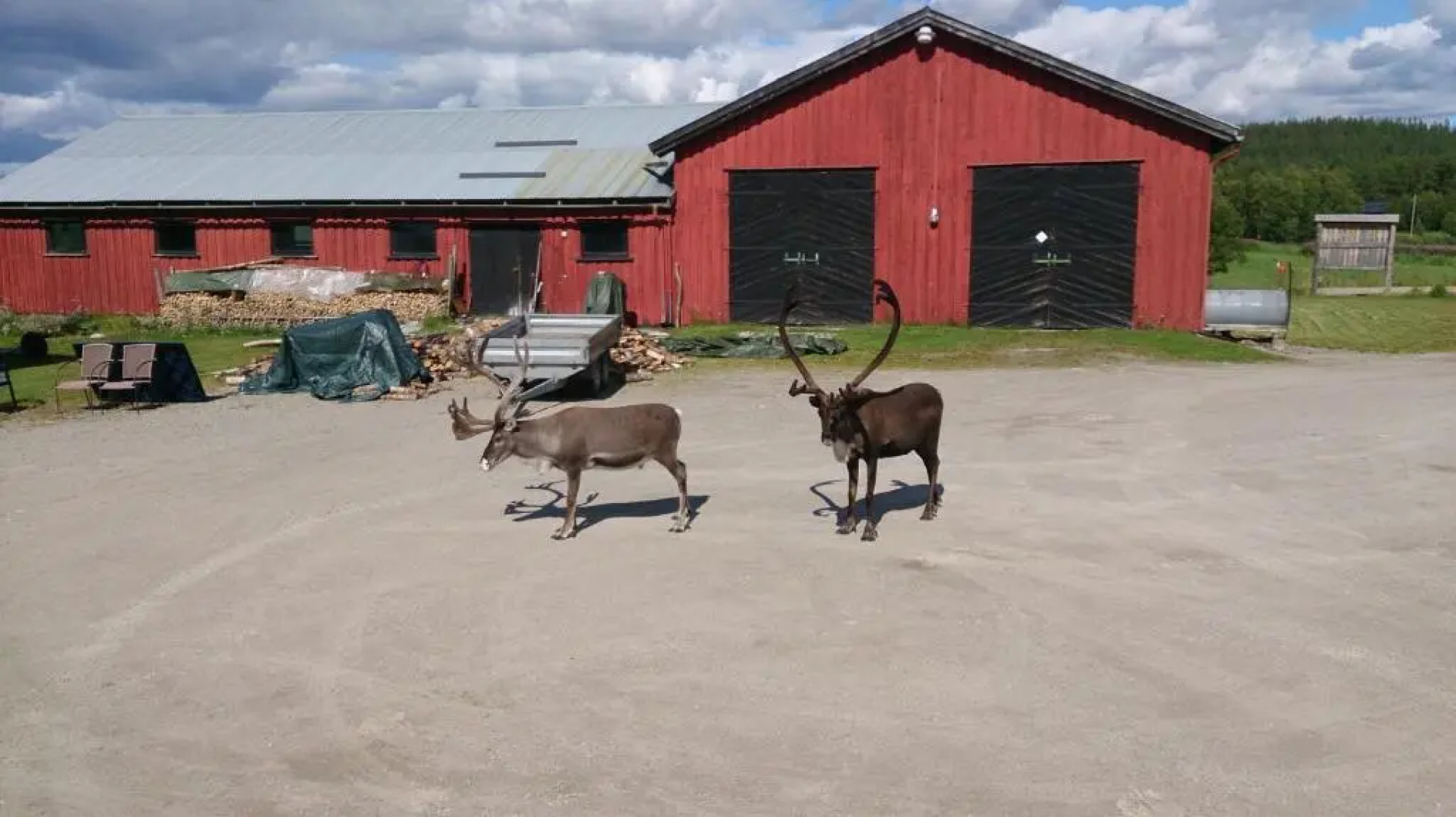 Vestre Sorken Feriegard