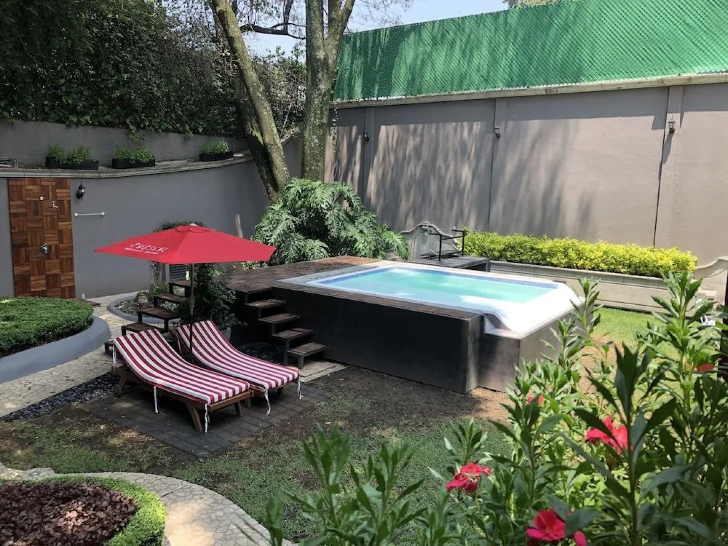 Pug Seal B&B Coyoacan